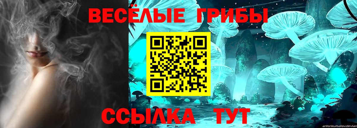 Псилоцибиновые грибы Cubensis Чита